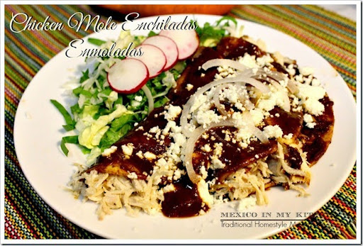 mexican chicken mole enchilada recipe